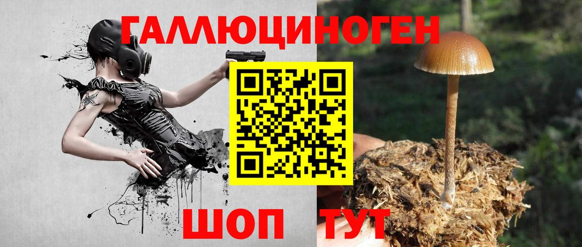Симферополь  Галлюциногенные грибы мицелий  Вход с VPN 